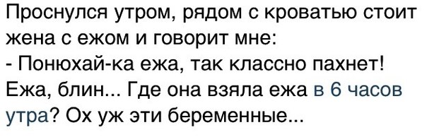 Картинки из этих ваших интернетов