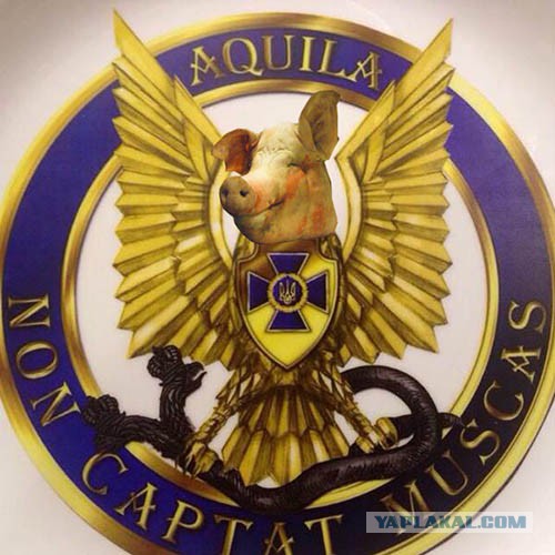 Новая эмблема контрразведки СБУ