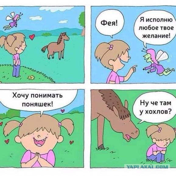 Ну че у них там?