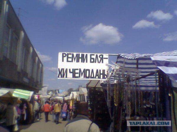 41 веселая картинка