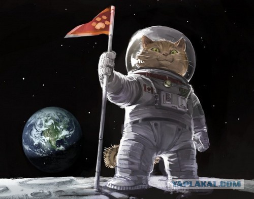 Space Cats