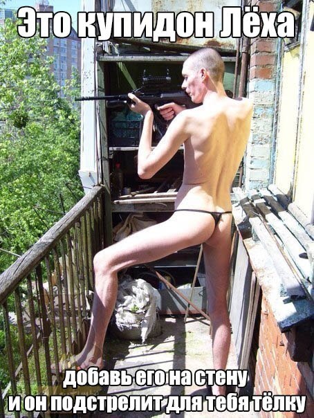 Прикольные картинки