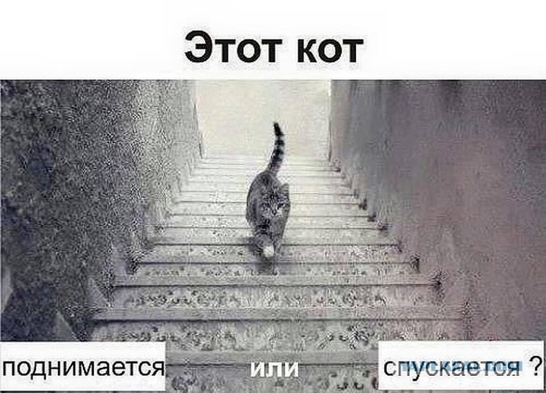 Подборка картинок из сети