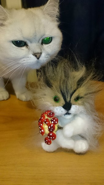 Жена валяет дурака (котиков)