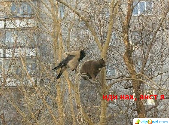 Подборка картинок на среду