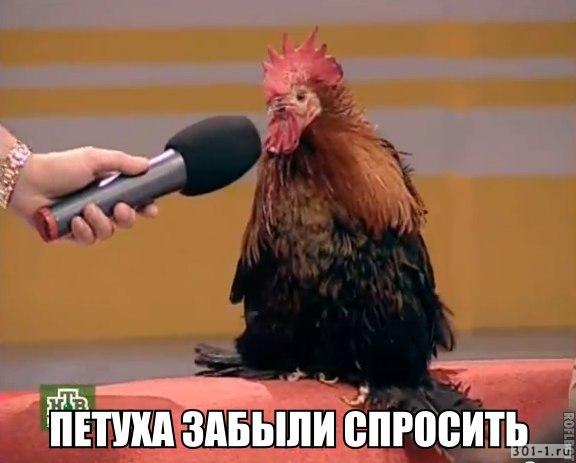 Эрдоган: России не стоило принимать приглашение об операции в Сирии