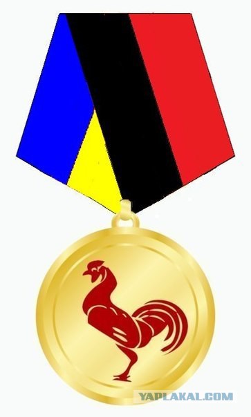 О крушении "Боинга" от очевидца