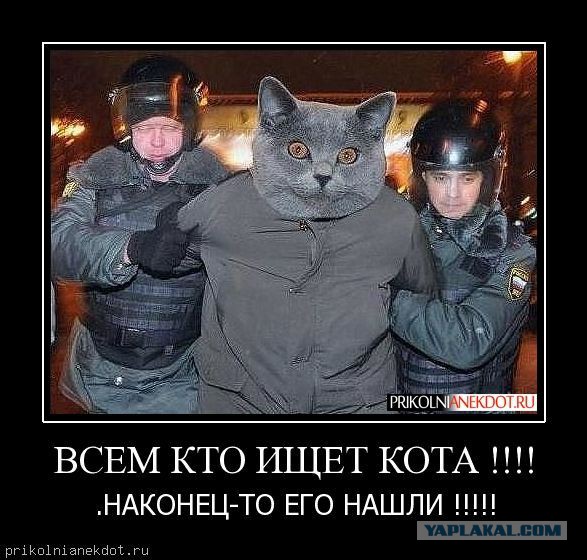 Три месяца назад устроился в местный ЖКХ