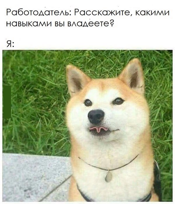 Подборка приколов