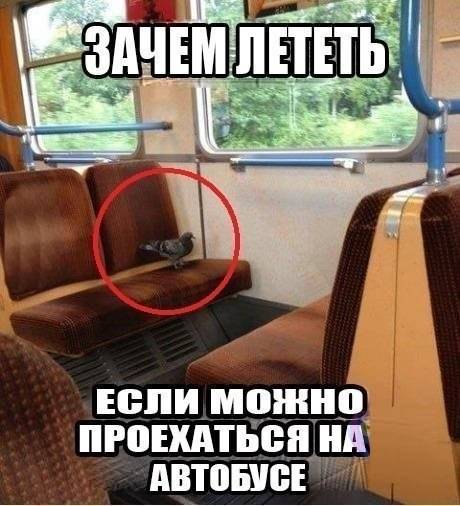 Подборка любопытных фотографий со всего света