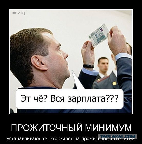 В России повысили прожиточный минимум до 9956 рублей