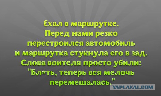 Смешные комментарии из социальных сетей 09.12.2016