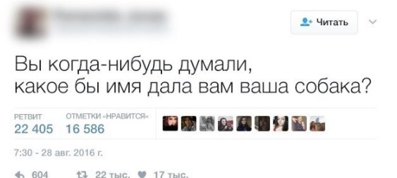 Всё прямо в точку...