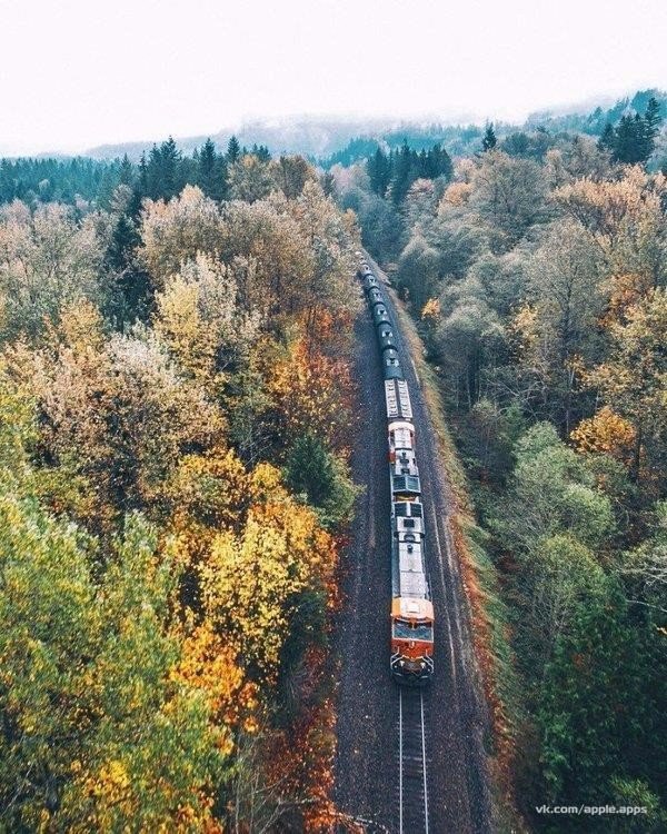 Фото интересные и не только