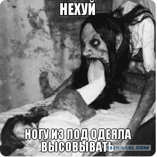 Коварный морской лев