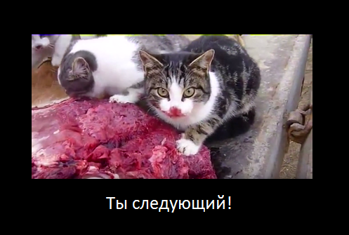 Криминальная сводка недели