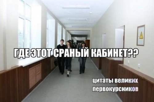 Веселые пятничные картинки