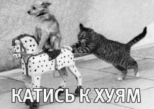 Лакинск, просто дорога от остановки до дома