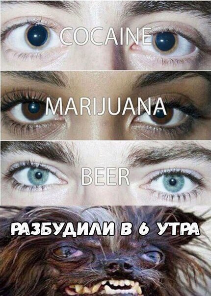 Этот безумный, безумный, безумный мир