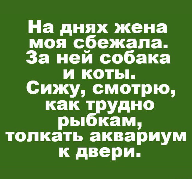 Нестандартный юмор