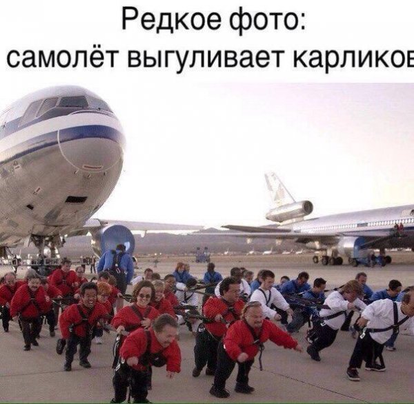 Немного весёлых картинок в эту субботу