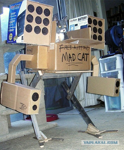 Боевые кото-роботы в наступлении!