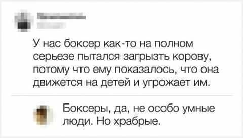 Немного картинок на этот вторник
