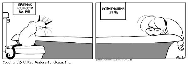 Признаки кошкости