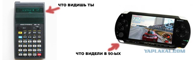 Как видят мир животные