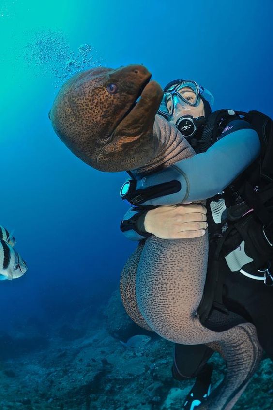 Любопытные фото
