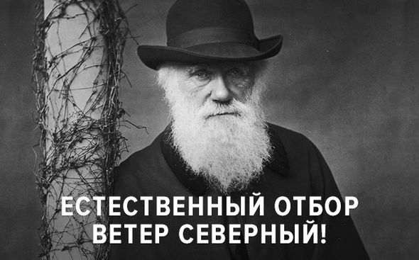 В Воронежской области разбилась компания молодёжи: трое погибли