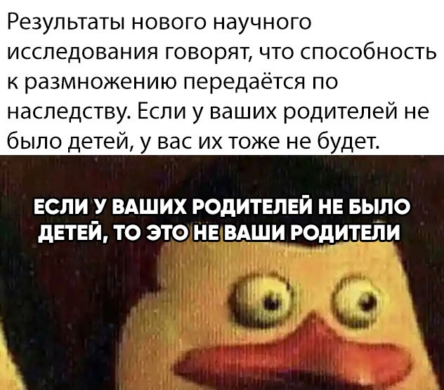 Шли по полю алкаши, или покорми меня гвоздиками, девочка с крыжовником