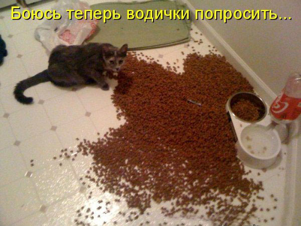 С ума сошла, что-ли?!