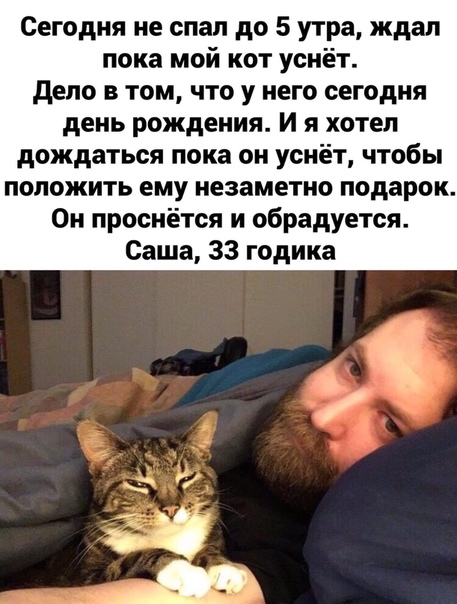 Бредзона 08.02.2020