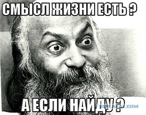Есть всё, кроме смысла жизни