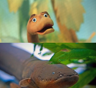 Откуда у угря электричество?