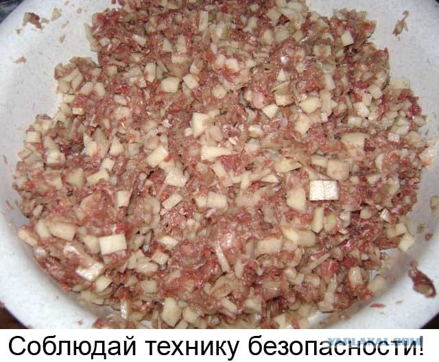 Фотожаберы откликнитесь: техника безопасности