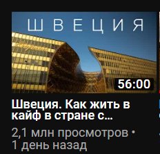 Шведские художники создали кафе и магазин винила для мышей