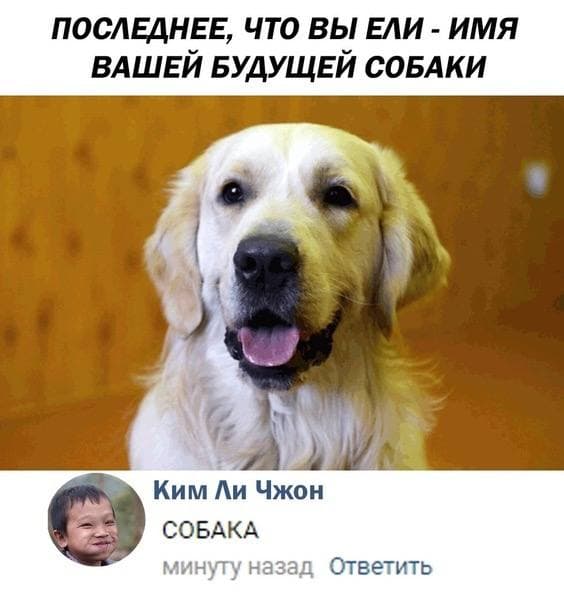 Фу, пошлятина одна