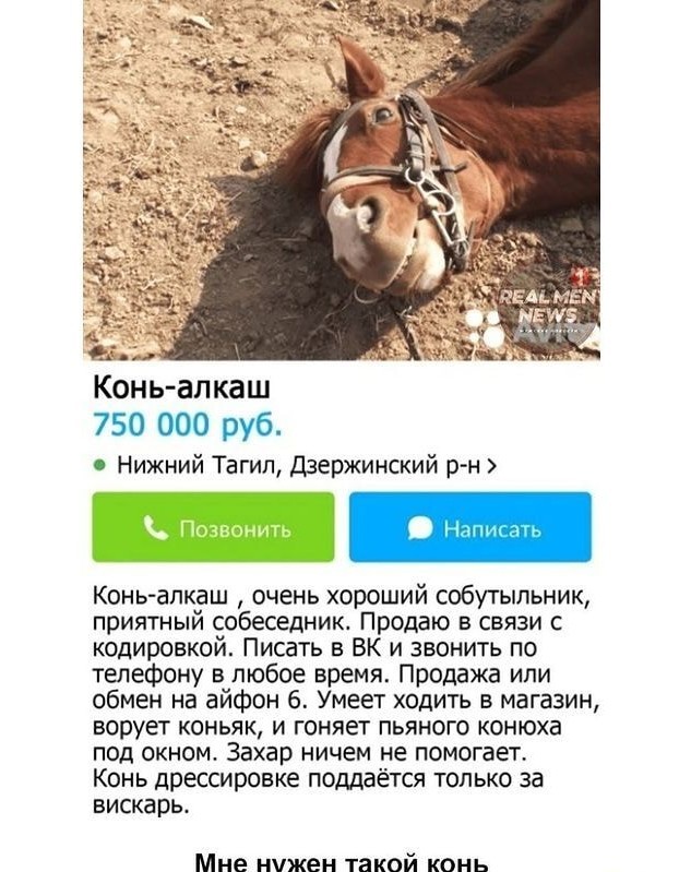 Алкопост 24.07.21