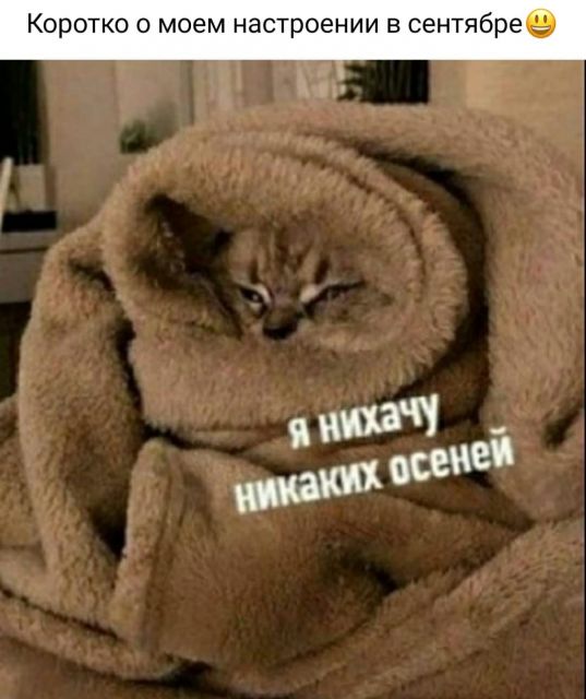 Так себе картинки 18.09.21