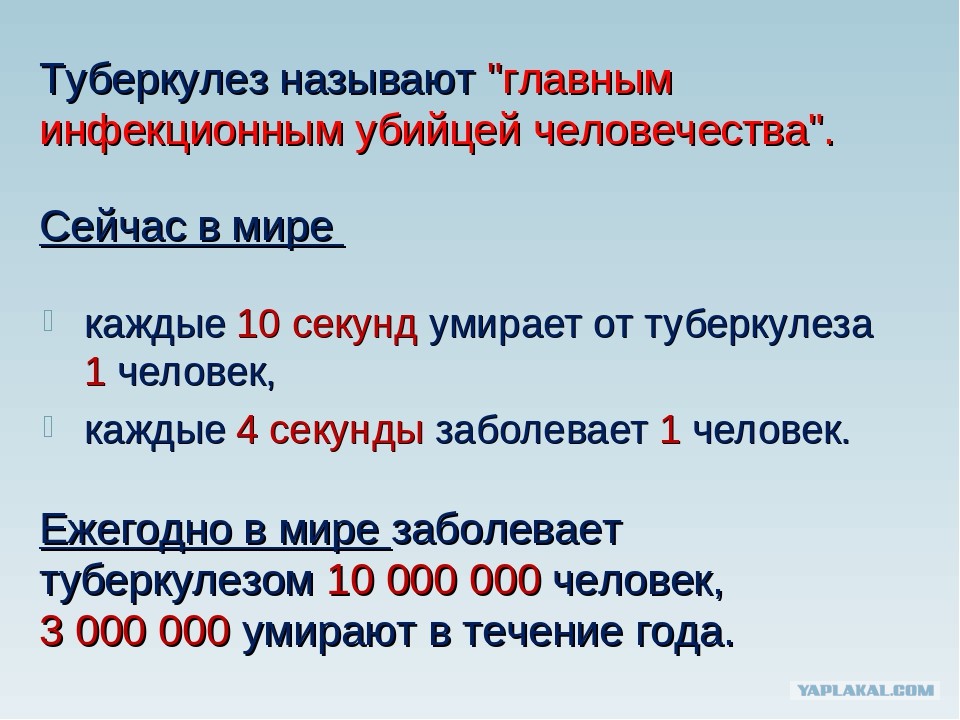 Сколько человек в день умирает на земле. Смертность от туберкулеза. Ежегодно в мире туберкулезом заболевает. Туберкулез.умирает.люди. Смертность людей от туберкулеза.