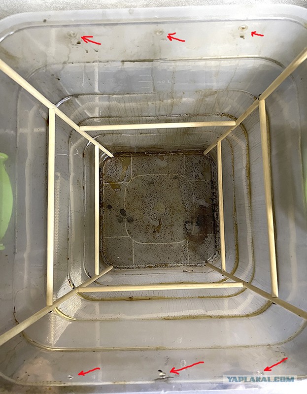 Солатеговая тема