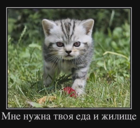 Весёлый полтишок 28.02.22