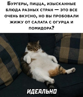Картинки и мемы для настроения 31.03.2022