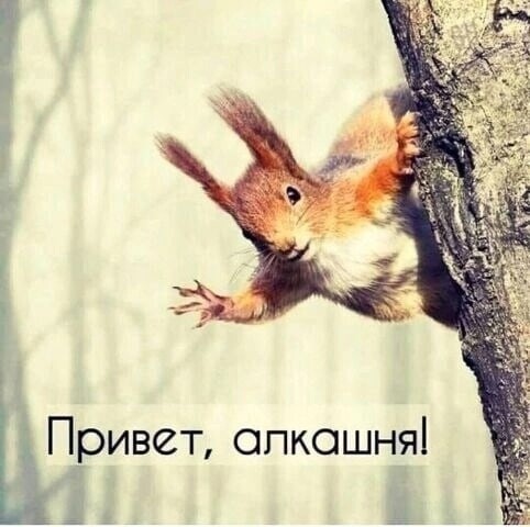 Юмор в картинках и без 10.01.2023