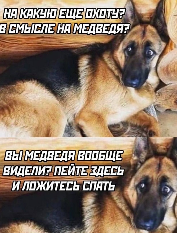 Чё реально  ни разу медведя не выключали?