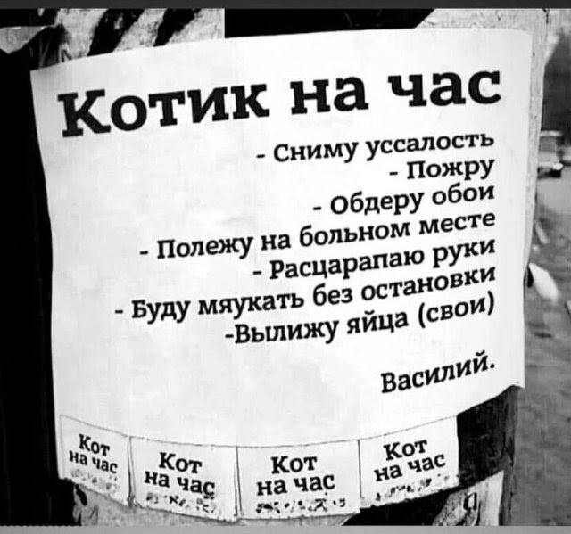 Немного картинок для настроения - 161