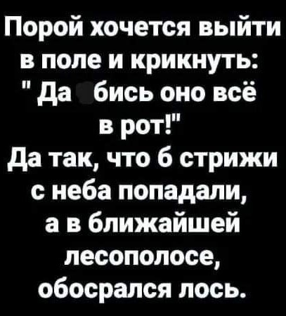 Картинки от Scodero 2024-1