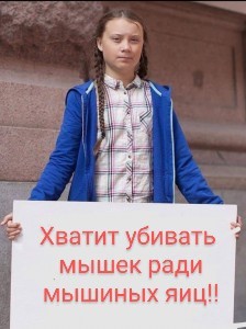 Мышиные яйца